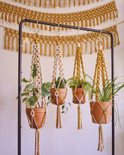 Load image into Gallery viewer, Daisy Chain Macrame Plant Hanger