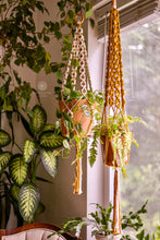 Load image into Gallery viewer, Daisy Chain Macrame Plant Hanger