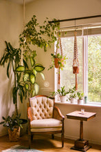 Load image into Gallery viewer, Daisy Chain Macrame Plant Hanger