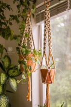 Load image into Gallery viewer, Daisy Chain Macrame Plant Hanger