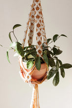 Load image into Gallery viewer, Daisy Chain Macrame Plant Hanger