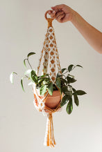 Load image into Gallery viewer, Daisy Chain Macrame Plant Hanger