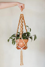 Load image into Gallery viewer, Daisy Chain Macrame Plant Hanger
